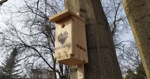 Sto budek lęgowych dla ptaków ma do rozdania miasto Katowice