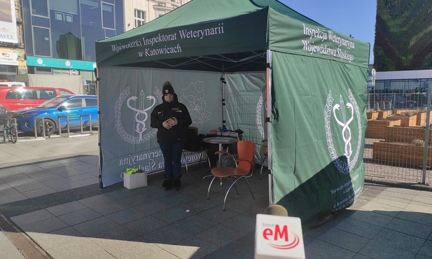 Katowice. Weterynarz przy katowickim dworcu kolejowym. Uchodźcy mogą tu przebadać swoje zwierzęta