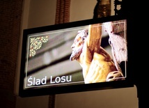 „Ślad losu” w elbląskiej katedrze