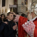 Książnice. Poświęcenie odnowionej drogi krzyżowej i bierzmowanie