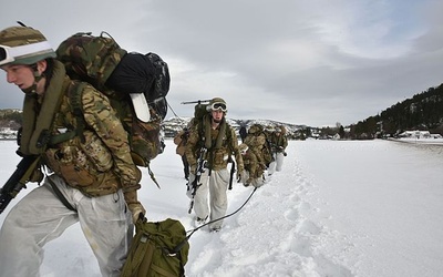 W Arktyce rozpoczęły się manewry Cold Response z udziałem NATO