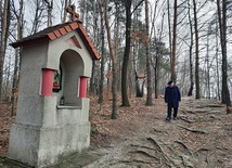 ◄	Ksiądz Jan Grzegorzek  na zboczu Grzybówki. 