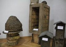 Wystawa pszczelarska