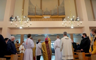 Wybudzenie organów