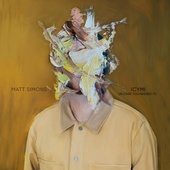 MATT SIMONS - In Case You Missed It