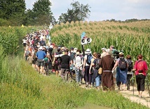 ▲	Organizatorzy wierzą, że pielgrzymi wrócą na szlak równie licznie, co parę lat temu. W ostatniej przed pandemią edycji w wydarzeniu wzięło udział blisko 1,5 tys. pątników.