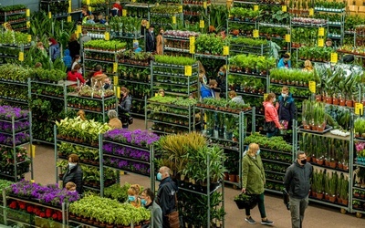 Katowice. Festiwal roślin doniczkowych