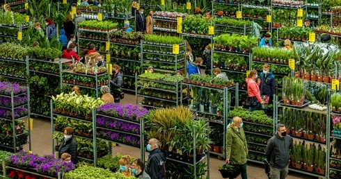 Katowice. Festiwal roślin doniczkowych