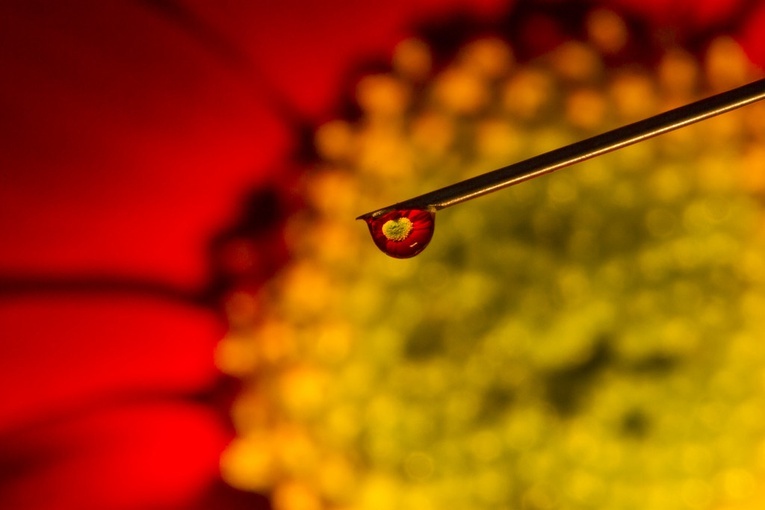 Media: Przez inwazję na Ukrainę marzenia córki Putina legły w gruzach