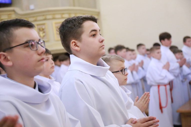 Radomyśl Wielki. Nowi lektorzy