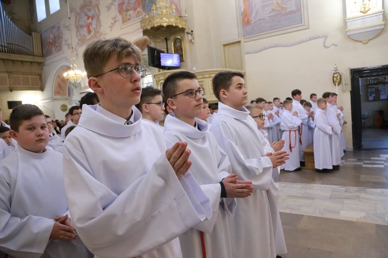 Radomyśl Wielki. Nowi lektorzy