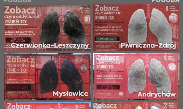 Śląskie. Koniec kampanii "Zobacz czym oddychasz". Co pokazały mobilne płuca?