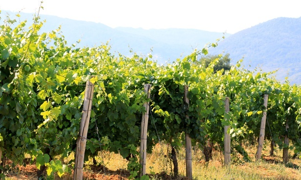 Dla kogo owocuje moje życie?