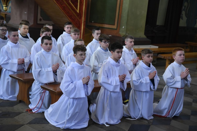 Lektorzy w Nawojowej