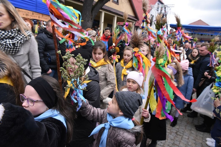 Lipnickie palmy 2022