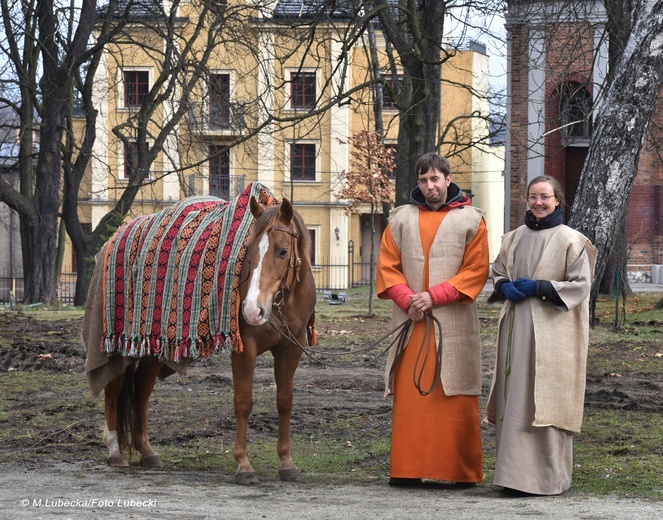 Niedziela Palmowa w Piekarach Śląskich 