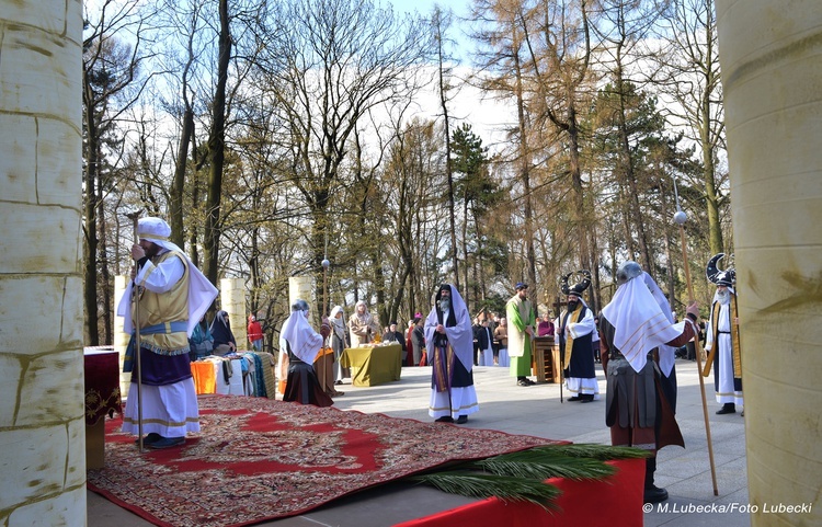 Niedziela Palmowa w Piekarach Śląskich 