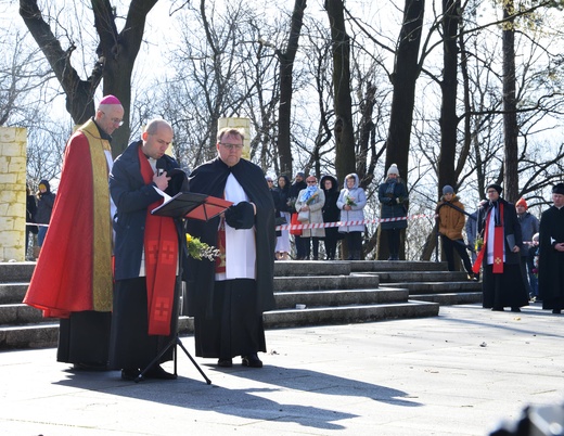 Niedziela Palmowa w Piekarach Śląskich 