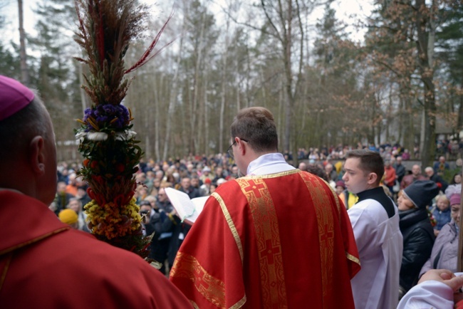 Palmowa w radomskim skansenie