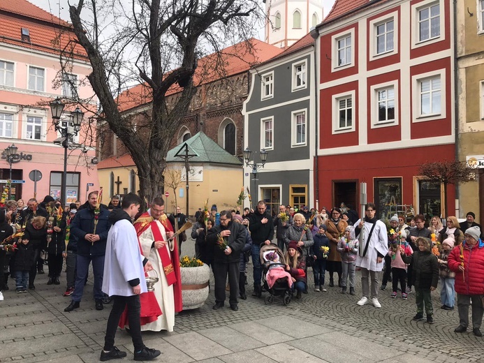 Niedziela Palmowa w naszych parafiach