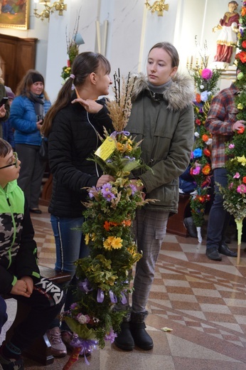 Konkurs palm w Makowie