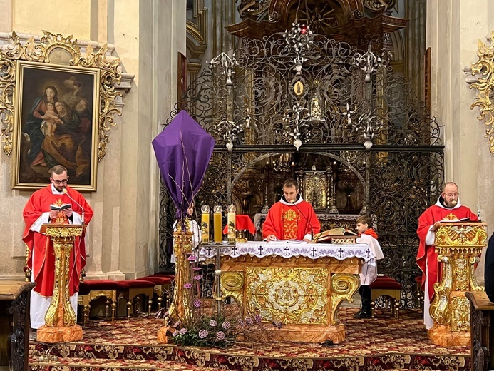 Niedziela Palmowa w diecezji świdnickiej