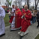 Niedziela Palmowa w diecezji świdnickiej