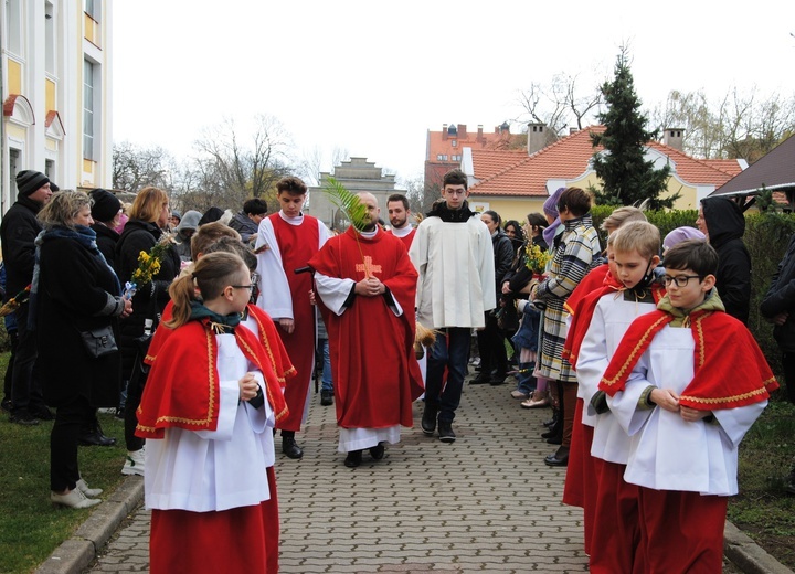 Niedziela Palmowa w naszych parafiach