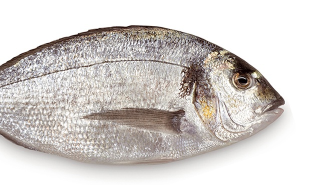 Ocalenie rozbitka