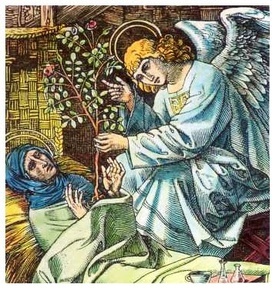 Św. Ludwina