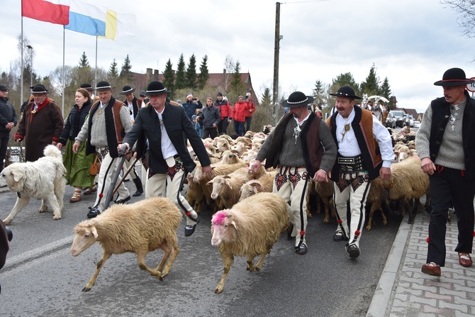 Sezon pasterski czas zacząć 