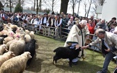 Sezon pasterski czas zacząć 