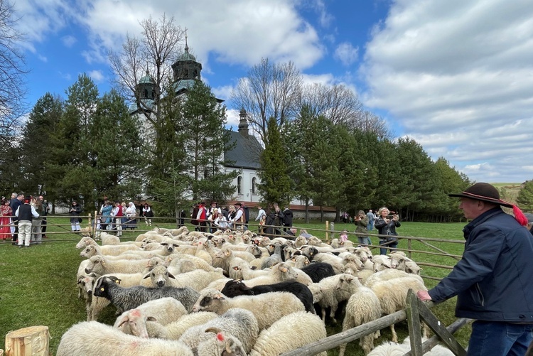 Beskidzka inauguracja sezonu pasterskiego w Rychwałdzie