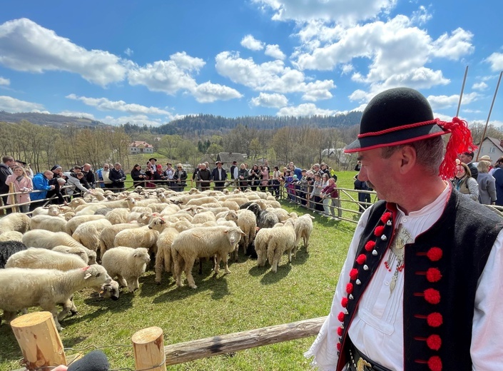 Beskidzka inauguracja sezonu pasterskiego w Rychwałdzie