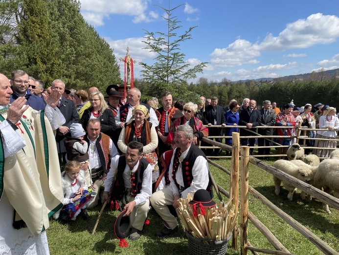 Beskidzka inauguracja sezonu pasterskiego w Rychwałdzie