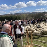 Beskidzka inauguracja sezonu pasterskiego w Rychwałdzie