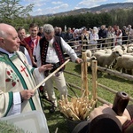 Beskidzka inauguracja sezonu pasterskiego w Rychwałdzie