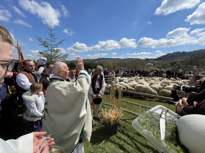 Beskidzka inauguracja sezonu pasterskiego w Rychwałdzie