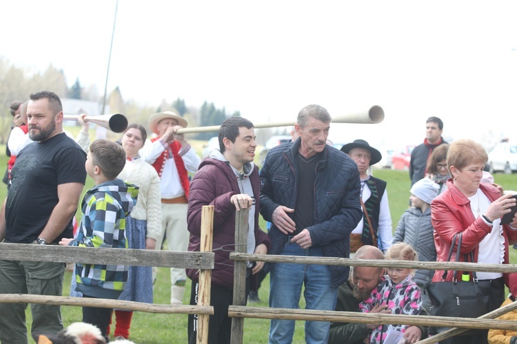 Beskidzka inauguracja sezonu pasterskiego w Rychwałdzie