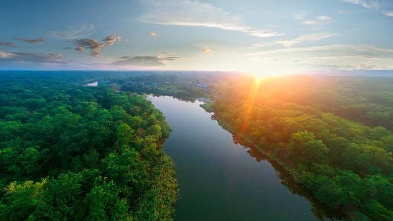 Ginie cenna przyroda Ukrainy. Jak długo będzie trwała odbudowa ekosystemu?