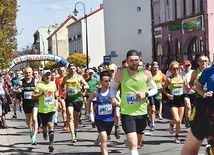 	W VIII edycji wzięło udział 536 biegaczy, w tym 158 kobiet i 378 mężczyzn.