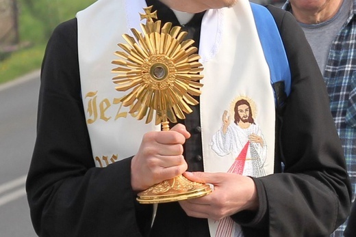 Wilamowice. Pielgrzymi łagiewniccy odebrali relikwie św. Józefa Bilczewskiego