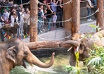 Orientarium otwarte