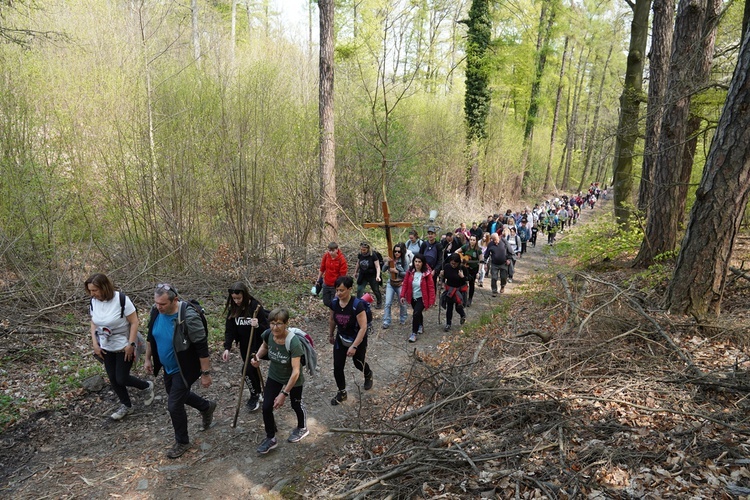 Piesza pielgrzymka z Sobótki na Ślężę 2022