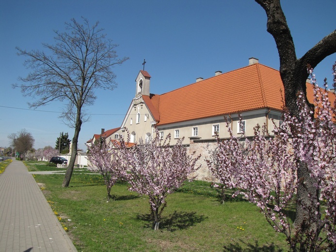 Przasnysz. Skwer bł. s. Marii Teresy Kowalskiej