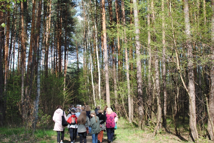 Stalowa Wola. Przytul się do drzewa