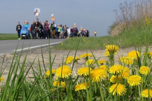 Pielgrzymi na trasie z Witkowic do Wieprza - 2022