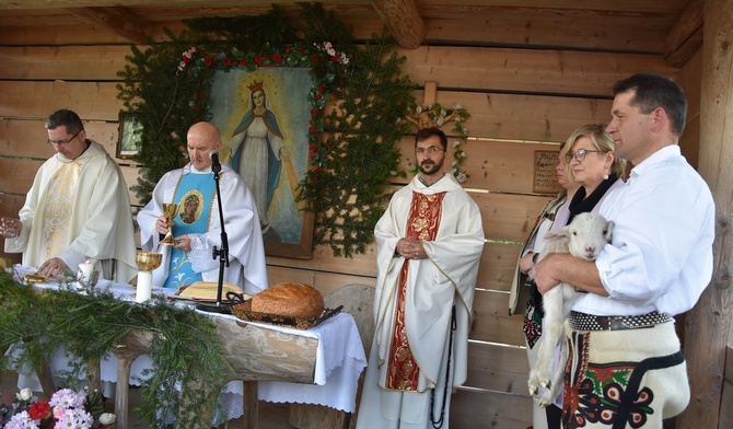 Małe Ciche. Żywa owieczka przy ołtarzu 