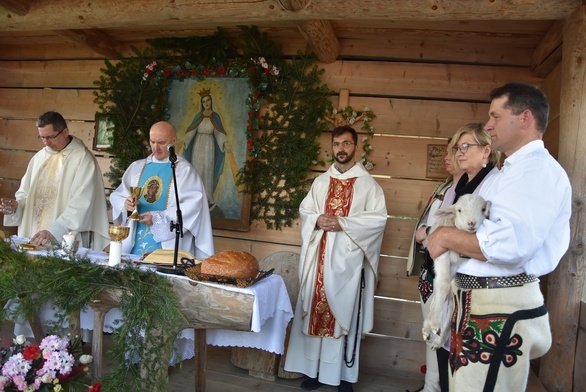 Małe Ciche. Żywa owieczka przy ołtarzu 