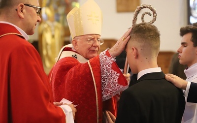 Abp Jędraszewski: Nie ma większej radości serca niż móc być świadkiem Chrystusa